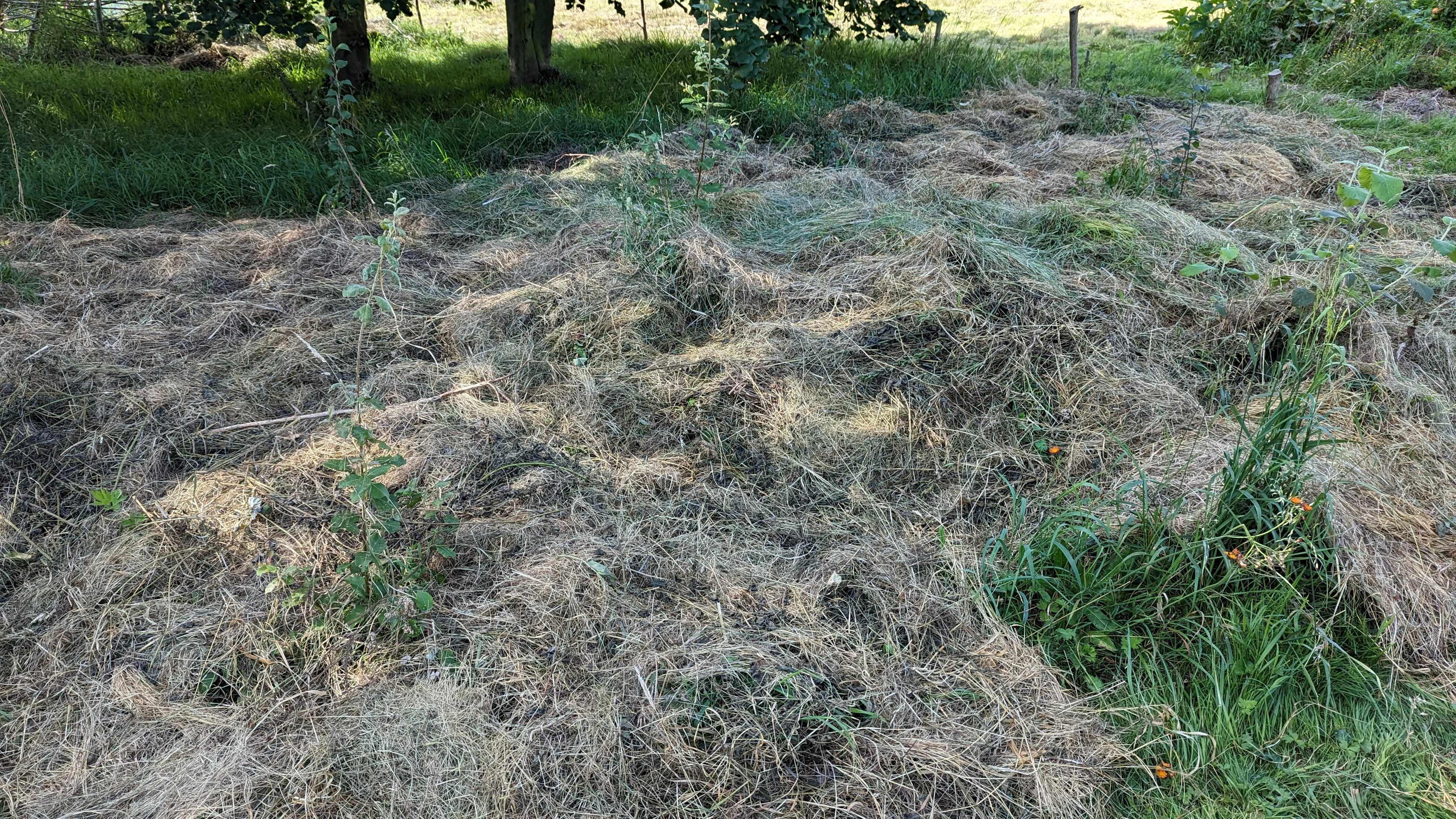 Flächenkompostierung unter Büschen