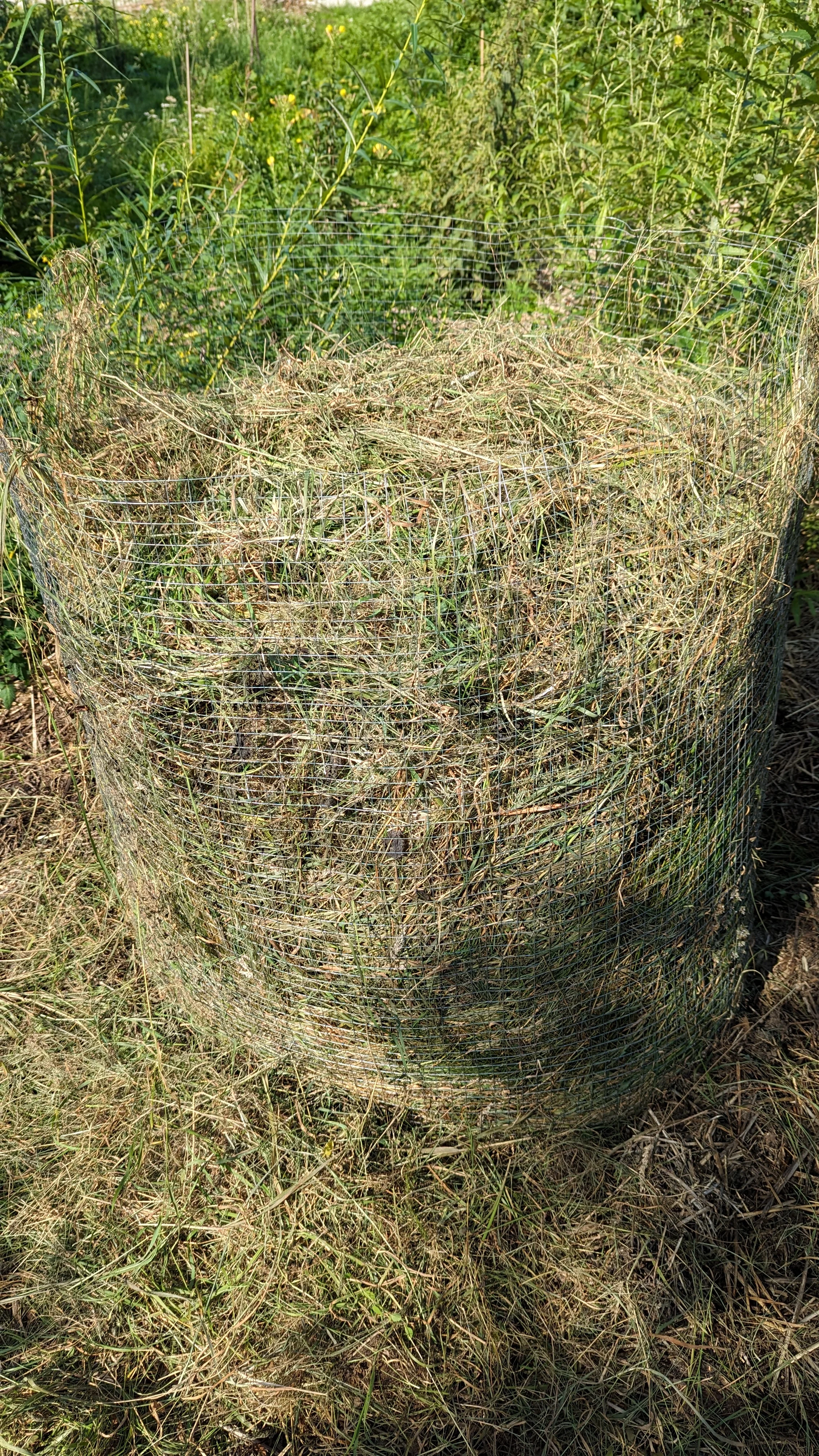 Drahttonne mit Heu